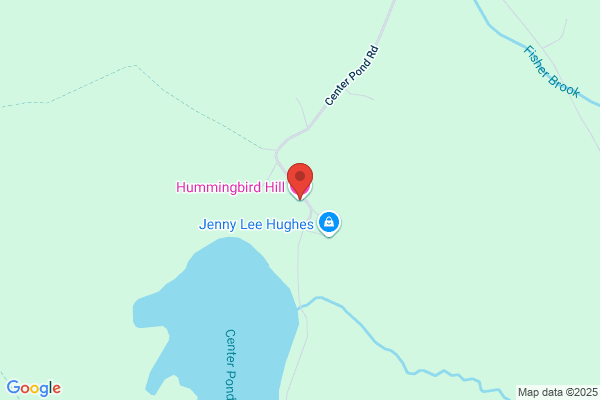 Hummingbird Hill Bed and Breakfast