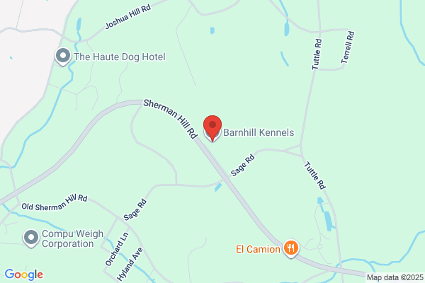 Camp Cedarhill Grooming & Boarding
