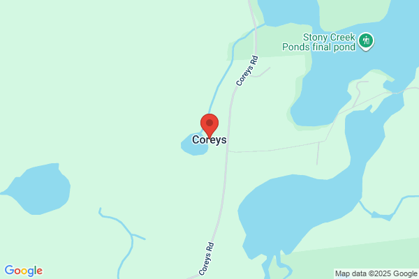 Coreys