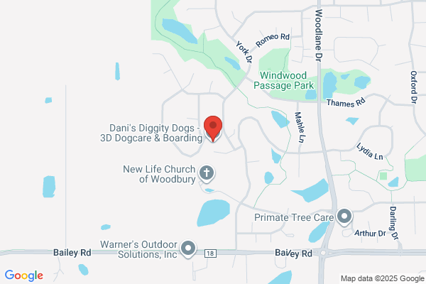 Dani's Diggity Dogs - 3D Dogcare & Boarding LLC
