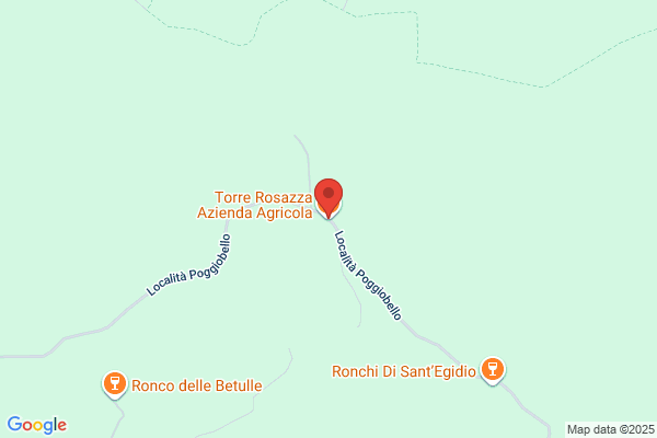 Rosara Torrisi, LMSW