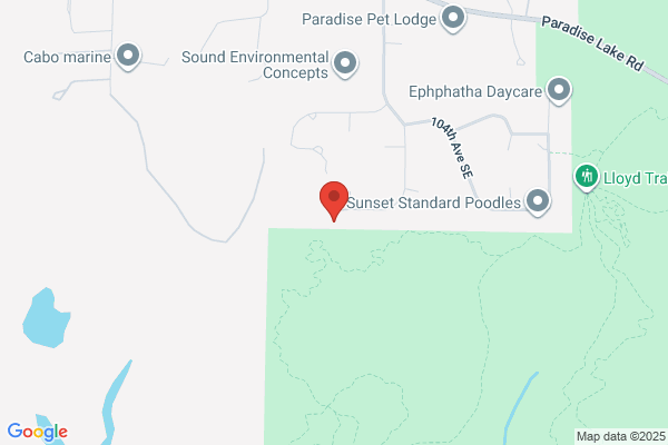Northlake Septic Service