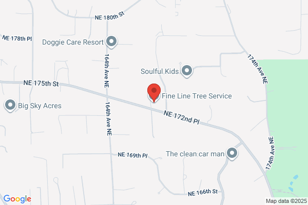 Fine Line Tree Service