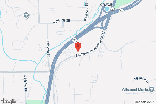 PLATINUM WHOLESALE AUTO INC