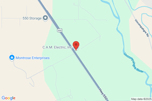 Cam Electric