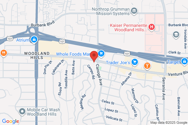 Kourosh Rugs