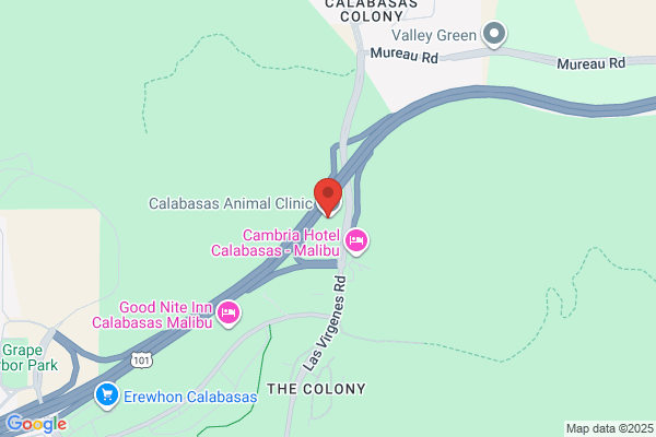 Calabasas Dental Spa