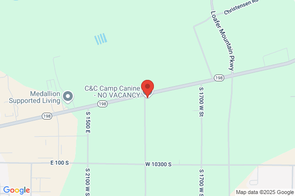 C&C Dog Grooming - Payson