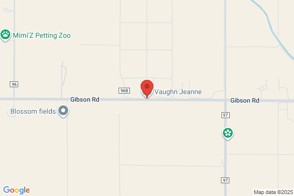 Vaughn Jeanne Cmt