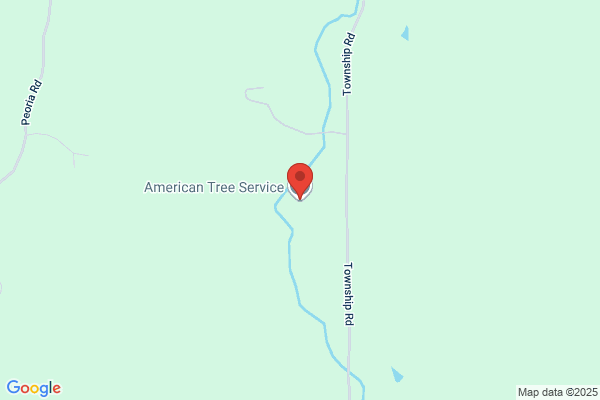 American Tree Service