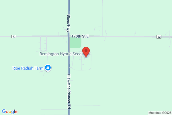Remington Hybrid Seed Co Inc