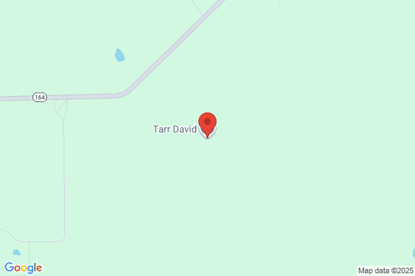 Tarr David & Son