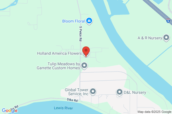 Holland America Bulb Farms Inc