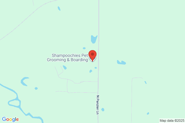 Shampoochies Pet Grooming & Boarding