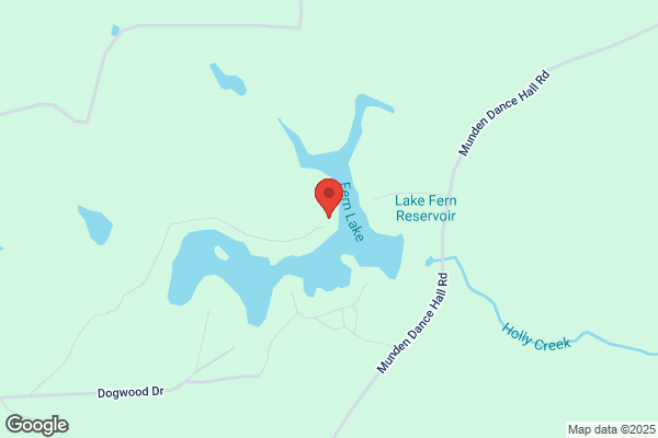 Camp Fern