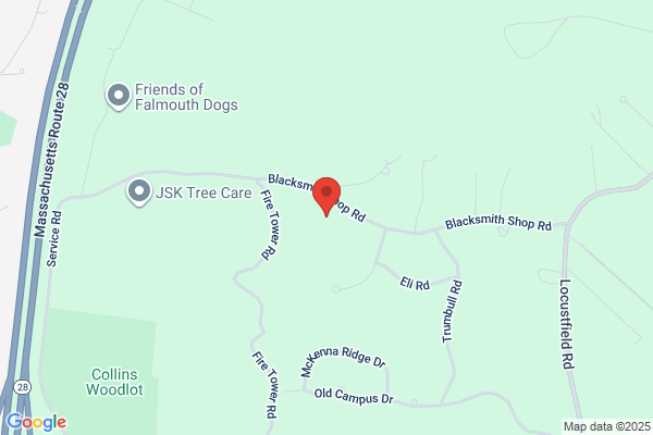 C P Murphy Tree Care