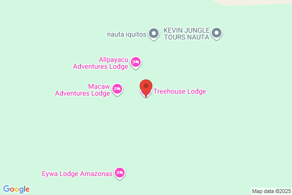 Treehouse Lodge