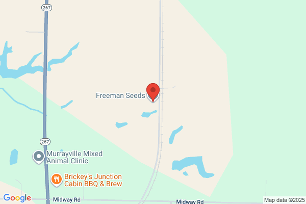 Freeman Seeds