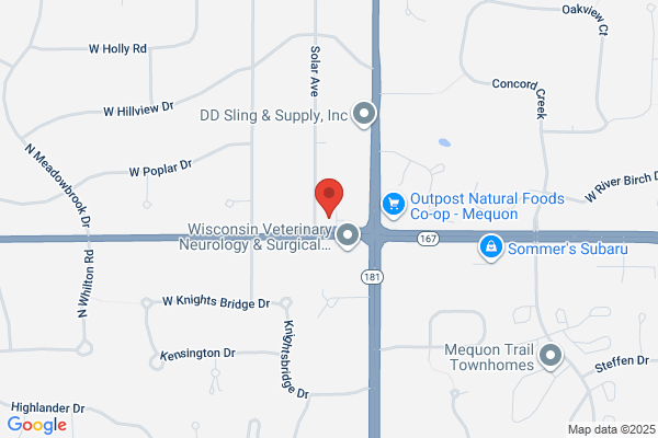 Berendt Emily P Attorney