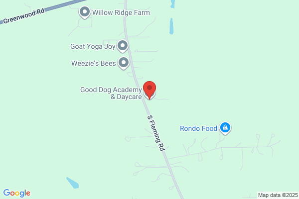 Good Dog Academy & Daycare