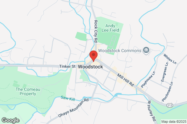 Woodstock Design