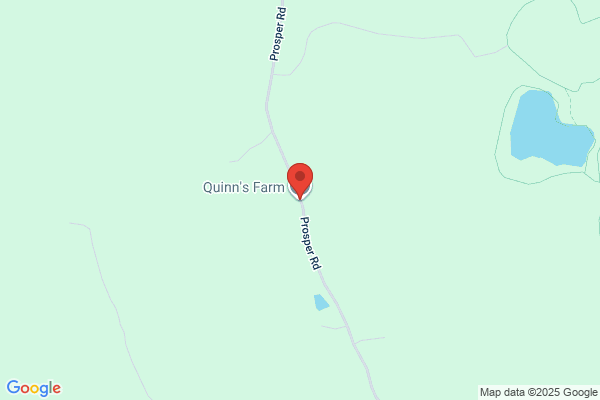 Quinn Co Inc the