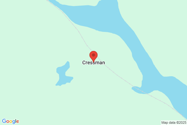 Cressman & Son