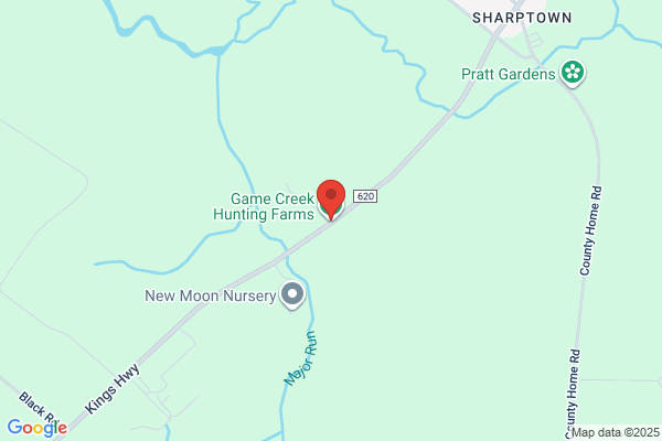 Game Creek Hunting Farms