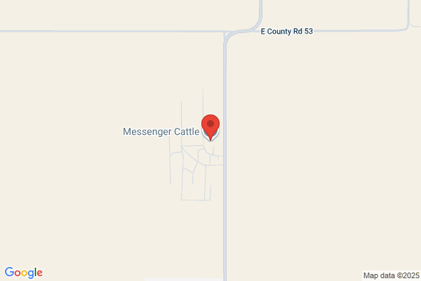 Messenger Cattle Company