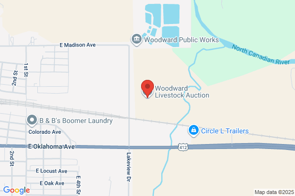 Woodward Livestock Auction Co Inc