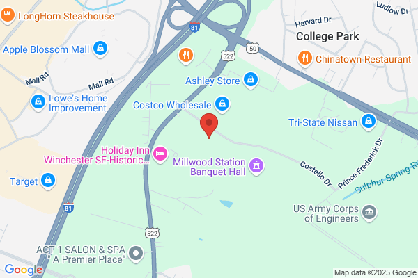 Mane Attraction the