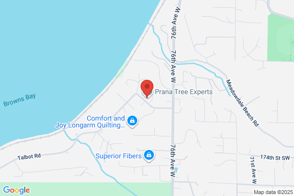 Scandi Tree Service