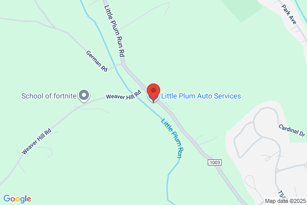 Little Plum Auto Service