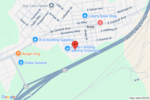Ridge Street Auto Body Inc