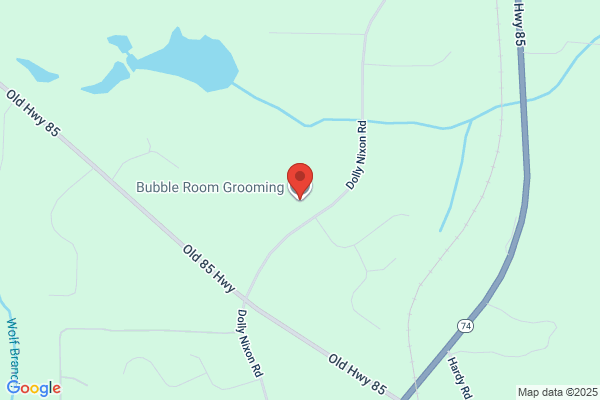 Bubble Room Grooming