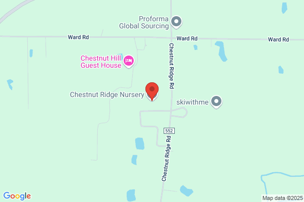 Chestnut Ridge Wholesale