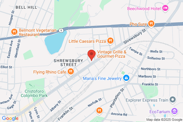 Professional Accounting Resume