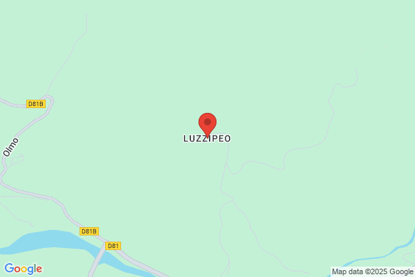 Luzzion