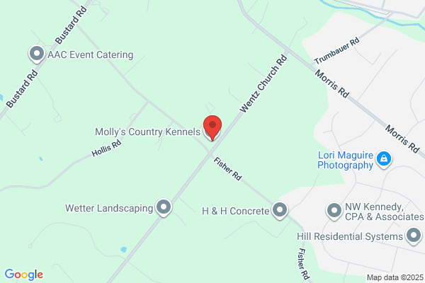 Molly's Country Kennels Inc.