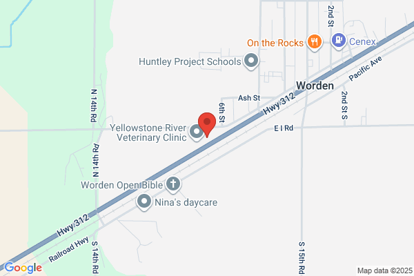Worden Motors
