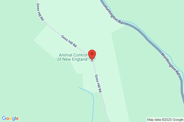 Animal  Control of New England