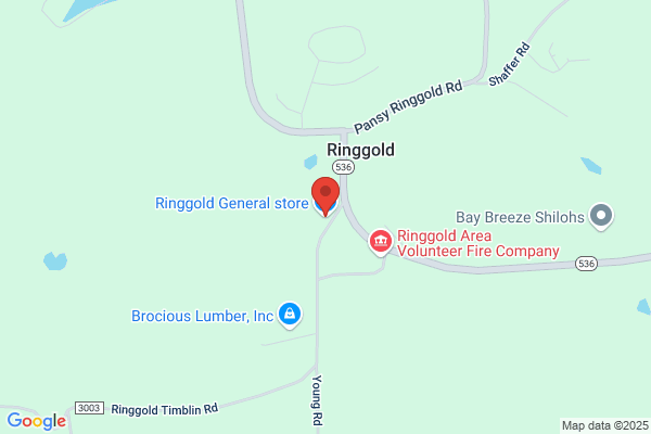Ringgold Store