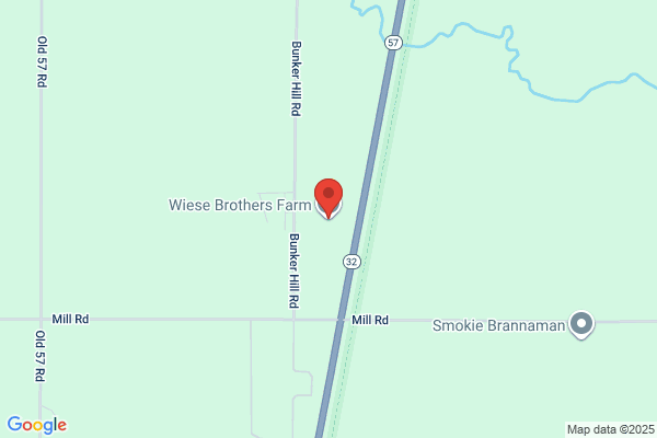 Wiese Brothers