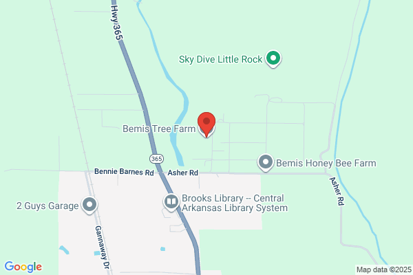 Bemis Tree Farm