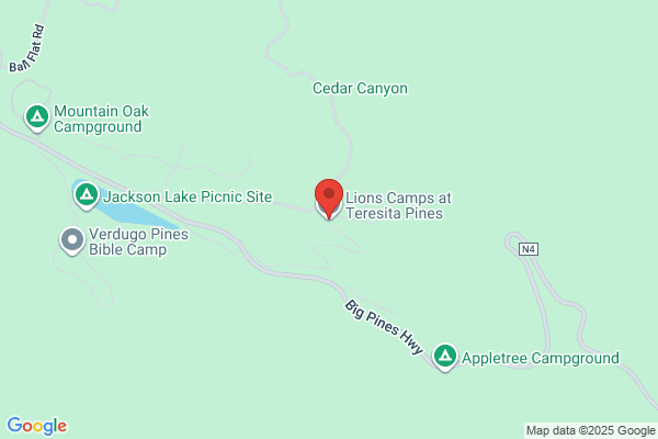Camp Teresita Pines