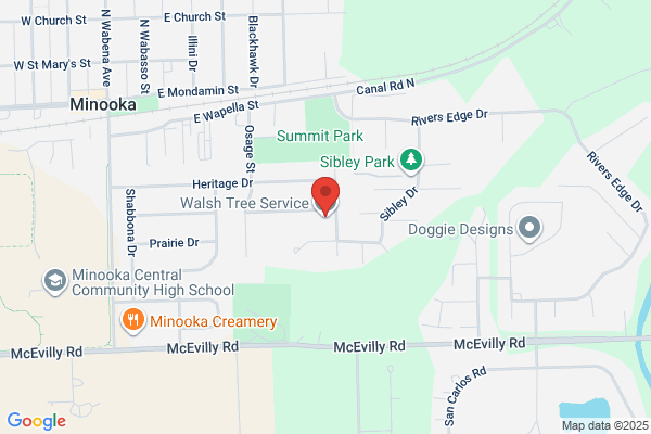 Walsh Jim Tree Service Inc