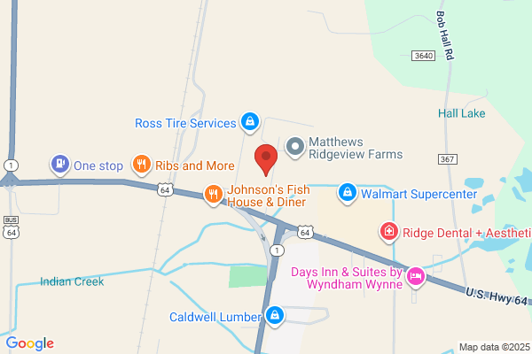 Carter's Elton Automotive