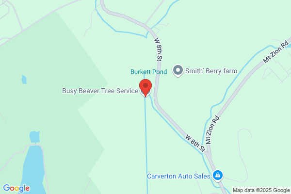 Busy Beaver Tree Service
