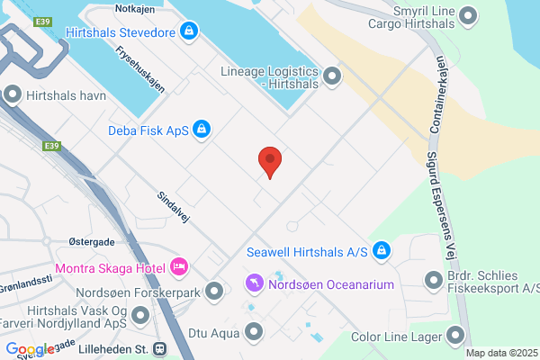 Skilonger Electric Motor Service