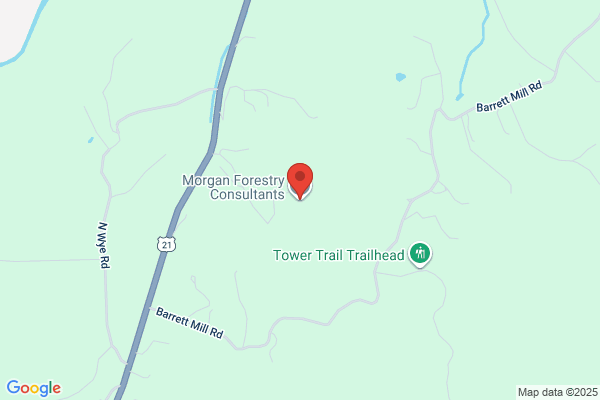 Blount Tyler Consulting Forester